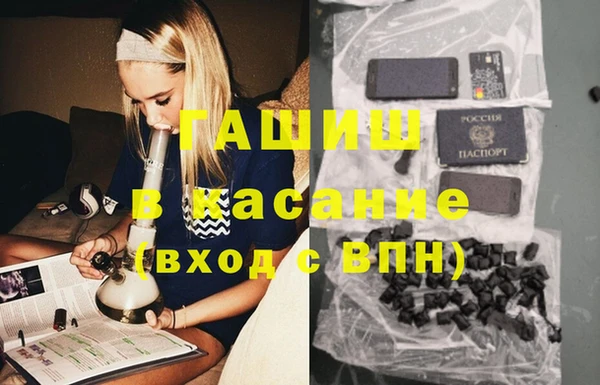 шишки Новозыбков