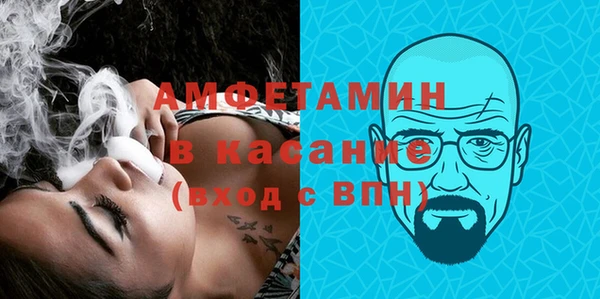 шишки Новозыбков