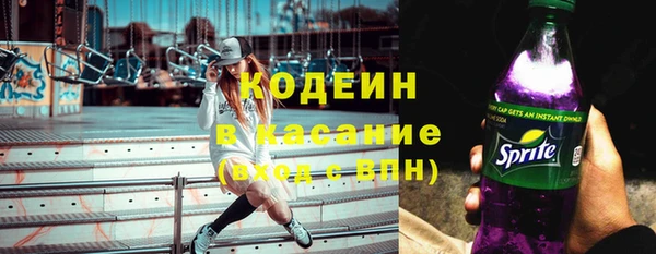 шишки Новозыбков
