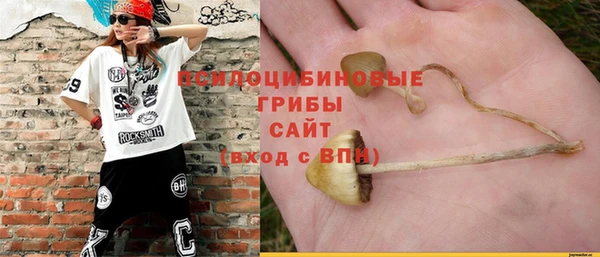 альфа пвп Новокубанск